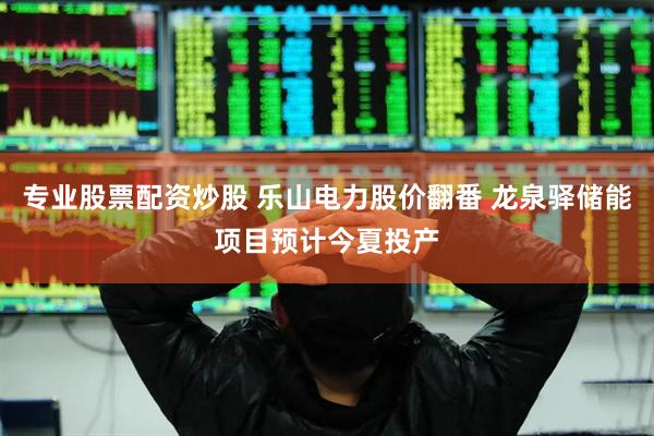 专业股票配资炒股 乐山电力股价翻番 龙泉驿储能项目预计今夏投产